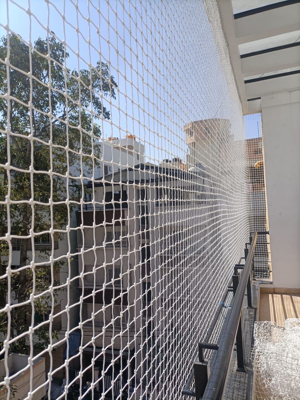 Pigeon Nets